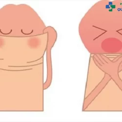 https://dakhoaquoctebacninh.com/wp-content/uploads/2023/08/benh-bao-quy-dau-la-gi-1.jpg-250x250.webp
