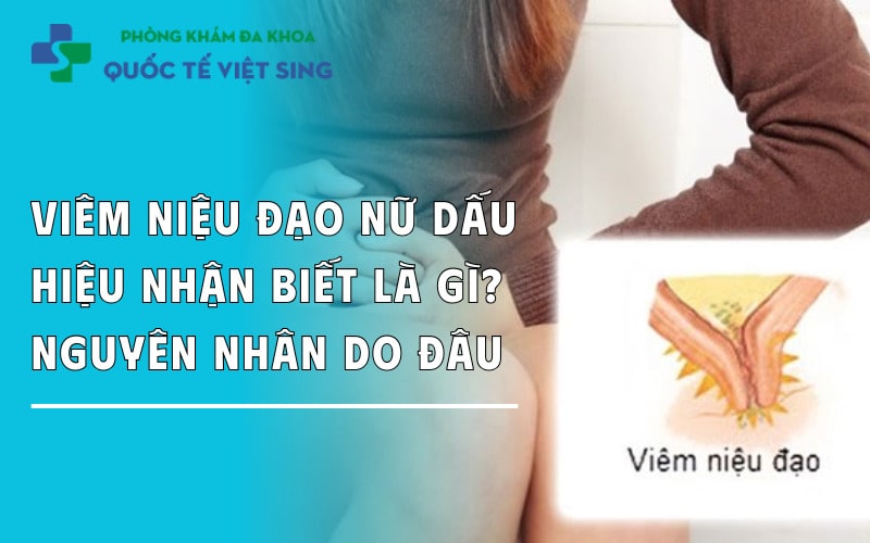 https://dakhoaquoctebacninh.com/wp-content/uploads/2023/09/viem-nieu-do-o-nu-dau-hieu-nhan-biet-lai-nguyen-nhan-do-dau.jpg