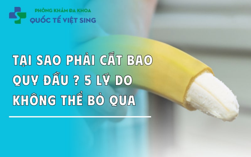 https://dakhoaquoctebacninh.com/wp-content/uploads/2024/04/tai-sao-can-cat-bao-quy-dau-5-ly-do-khong-the-bo-qua.jpg