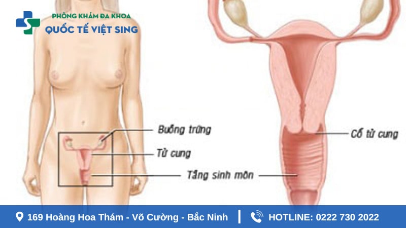 Thu hẹp tầng sinh môn sau sinh là gì?