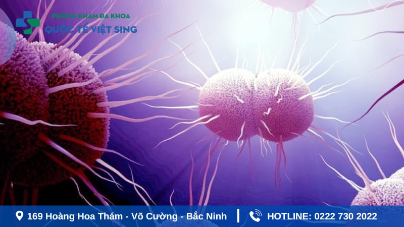 Bệnh lậu là bệnh lý như thế nào?