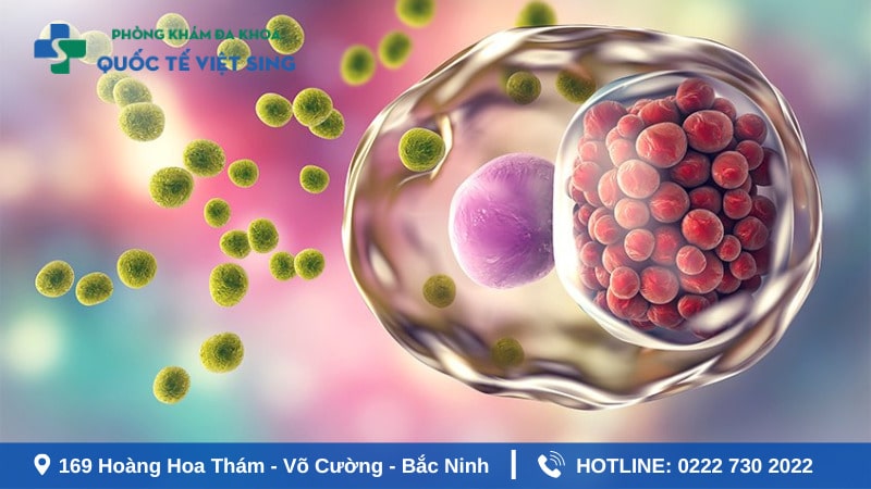 Bệnh lậu là gì? Nguyên nhân do đâu