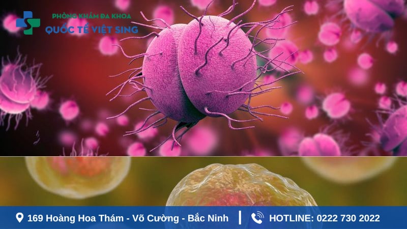 Bị bệnh lậu có nguy hiểm không?