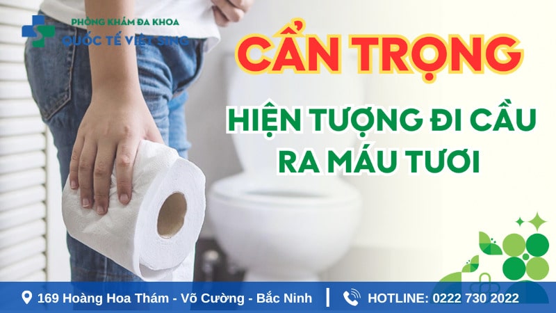 Đi đại tiện ra máu tươi nhỏ giọt có nguy hiểm không?