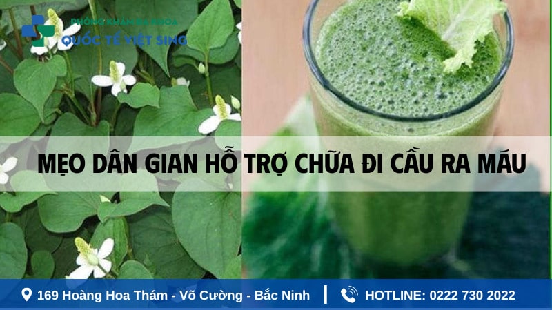 Mẹo dân gian hỗ trợ chữa đi cầu ra máu hiệu quả