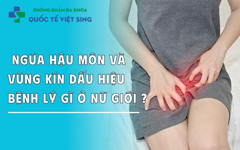 https://dakhoaquoctebacninh.com/wp-content/uploads/2025/06/ngua-hau-mon-va-vung-kin-dau-hieu-benh-ly-gi.jpg