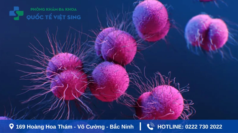 5 con đường truyền nhiễm của bệnh lậu phổ biến