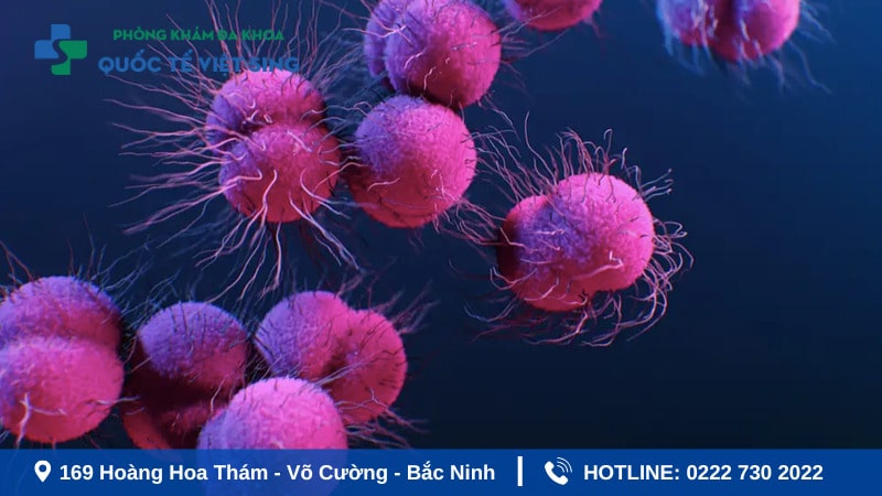 Tổng quan về bệnh lậu