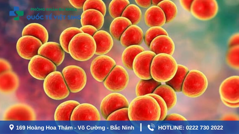 Tìm hiểu bệnh lậu ở nam và nữ cần chú ý
