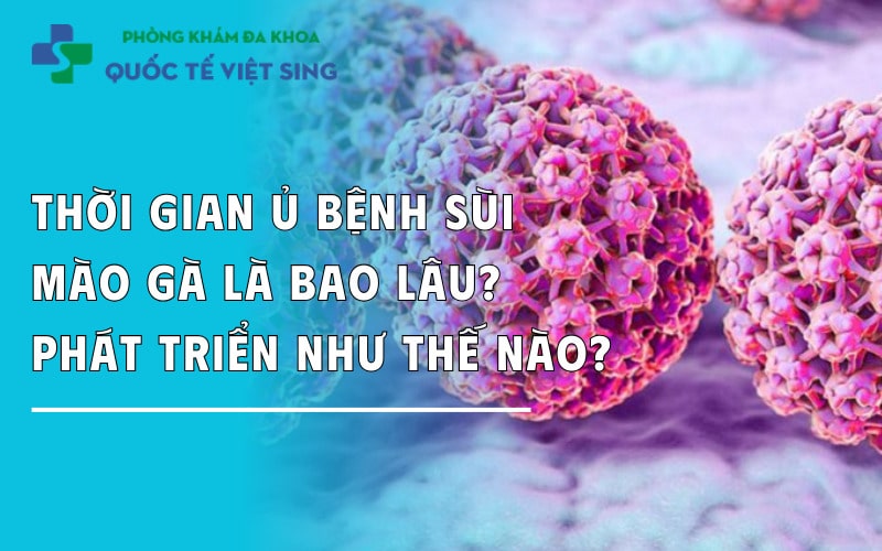 Thời gian ủ bệnh sùi mào gà là bao lâu? Phát triển như thế nào?