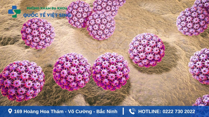 Tổng quan về bệnh sùi mào gà hiện nay