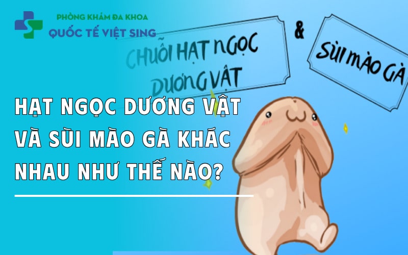 Hạt ngọc dương vật và sùi mào gà khác nhau như thế nào?