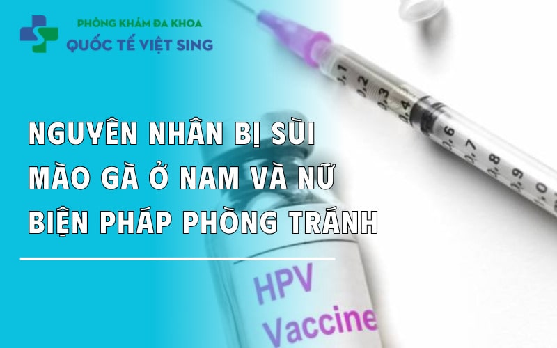 https://dakhoaquoctebacninh.com/wp-content/uploads/2025/08/nguyen-nhan-bi-sui-mao-ga-o-nam-va-nu-bien-phap-phong-tranh.jpg