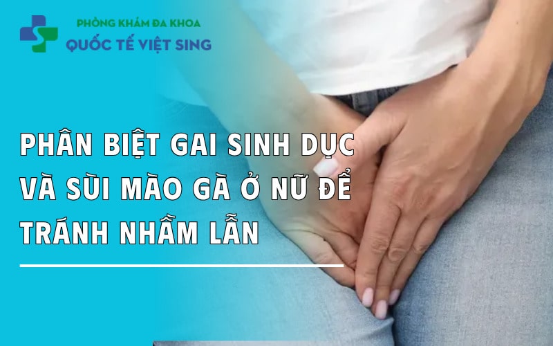 Phân biệt gai sinh dục và sùi mào gà ở nữ để tránh nhầm lẫn