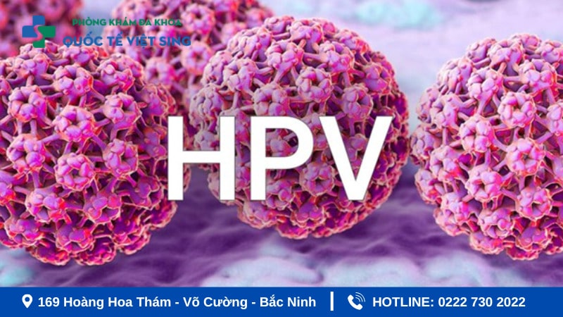 Nguyên nhân sùi mào gà do Virus HPV chủng 16 và 11 gây ra