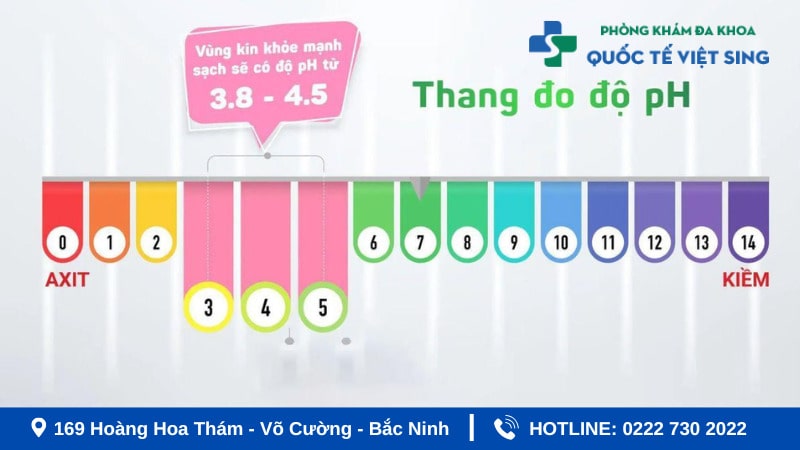 Cách đọc kết quả que thử viêm âm đạo