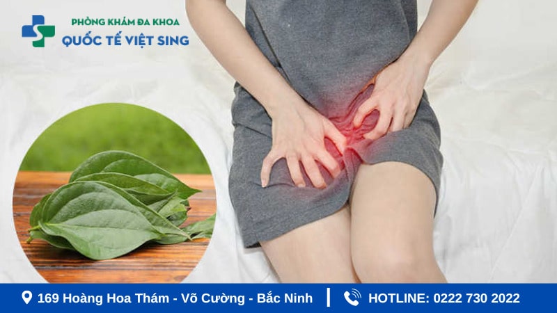 Chữa viêm phụ khoa nhẹ bằng bài thuốc dân gian