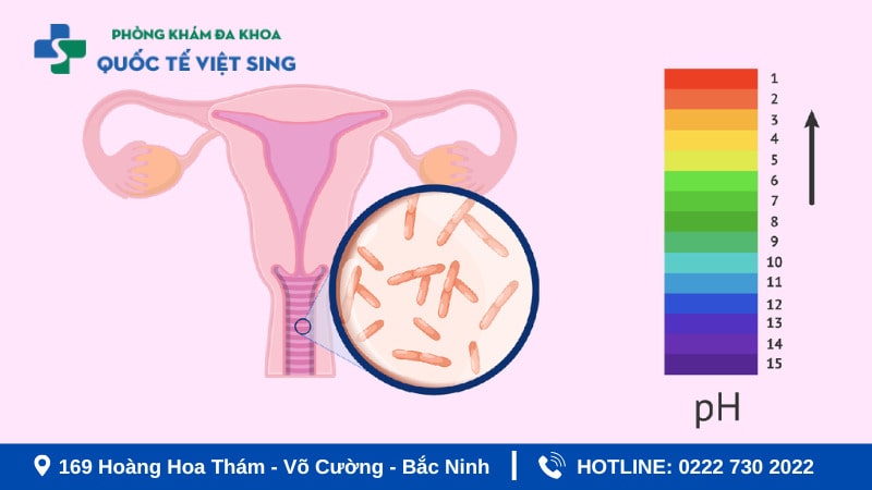 Hướng dẫn dùng que thử viêm nhiễm phụ khoa