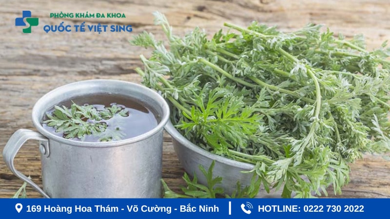 Ngải cứu - Thuốc nam chữa bệnh viêm phụ khoa