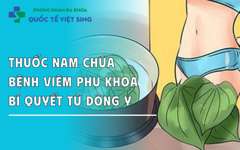 https://dakhoaquoctebacninh.com/wp-content/uploads/2025/09/thuoc-nam-chua-benh-viem-phu-khoa-bi-quyet-tu-dong-y.jpg