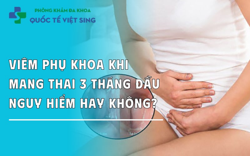 https://dakhoaquoctebacninh.com/wp-content/uploads/2025/09/viem-phu-khoa-khi-mang-thai-3-thang-dau-co-nguy-hiem-khong.jpg