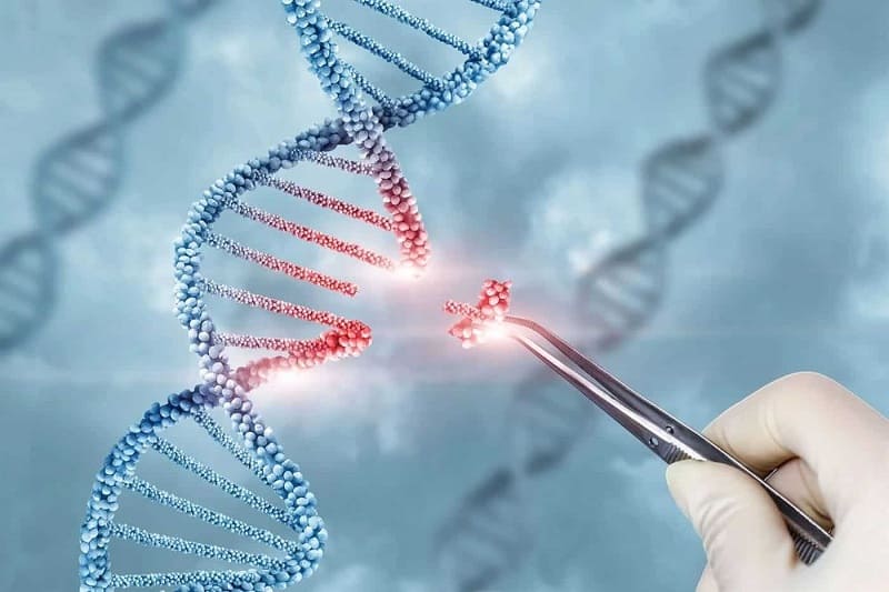 Xét nghiệm ADN cha con có chính xác không? 
