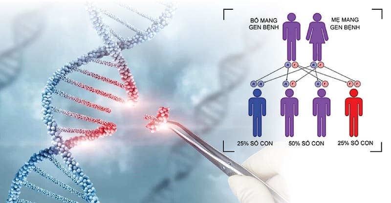 Xét nghiệm ADN huyết thống và những điều bạn cần biết