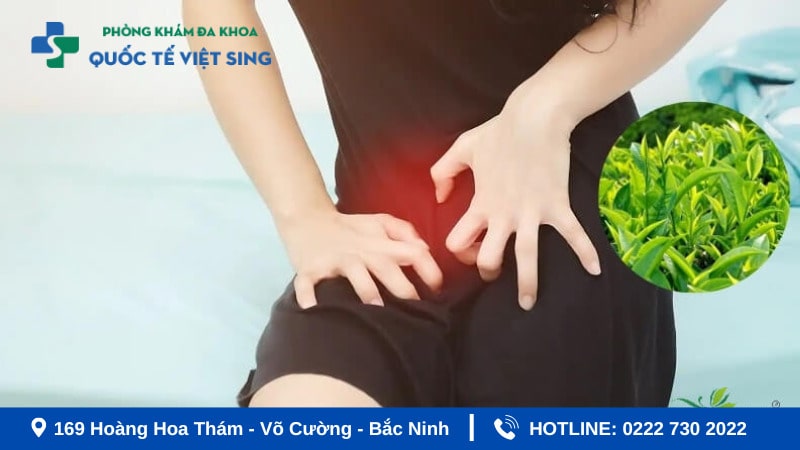Cách chữa viêm phụ khoa bằng lá chè xanh tại nhà