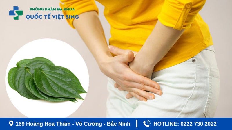 Chữa viêm phụ khoa cho bà bầu bằng lá trầu không