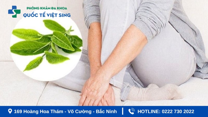 Có nên vệ sinh vùng kín bằng lá trà xanh?